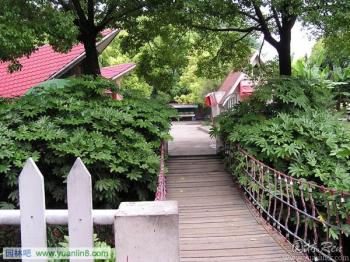 上海共青國家森林公園賞析