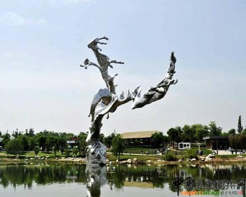 專家:水龍堪稱世園會點睛之筆