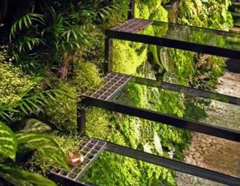 綠植旁的美麗階梯