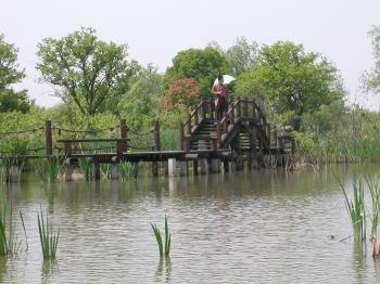 和諧景觀的典范--濕地公園(多圖)