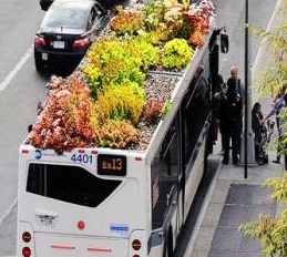 美國公交車頂的移動花園