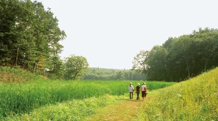 點擊圖片,在新窗口顯示原始尺寸
