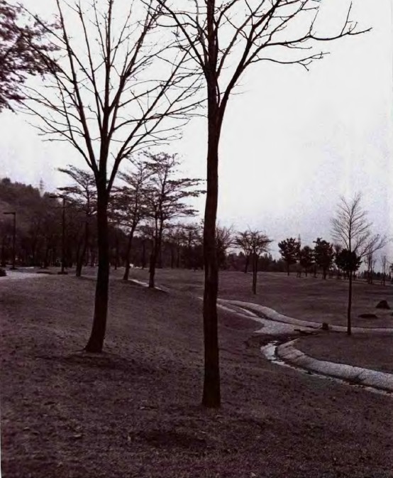 戶田芳樹作品:綠色津南中央庭園 中國風景園林網