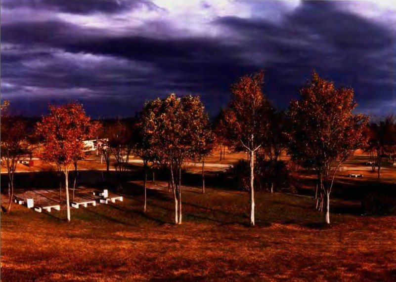 戶(hù)田芳樹(shù)作品:綠色津南中央庭園 水磨式景觀 中國(guó)風(fēng)景園林網(wǎng)