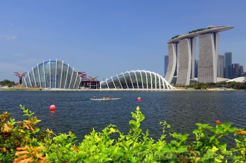 風景園林 新加坡 超級樹