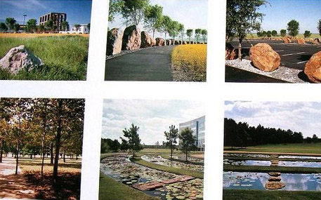 風景園林 彼得沃克