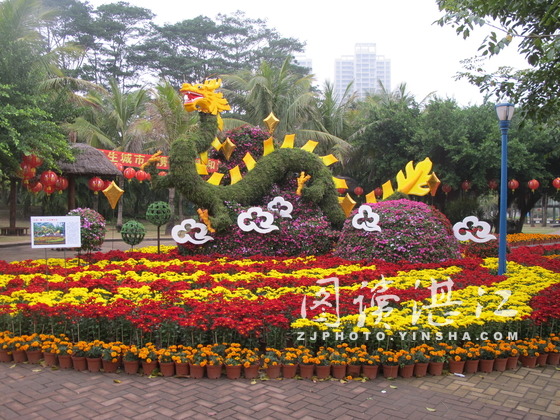 廣東 鮮花 節日