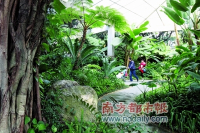 廣州 珠江公園 園林