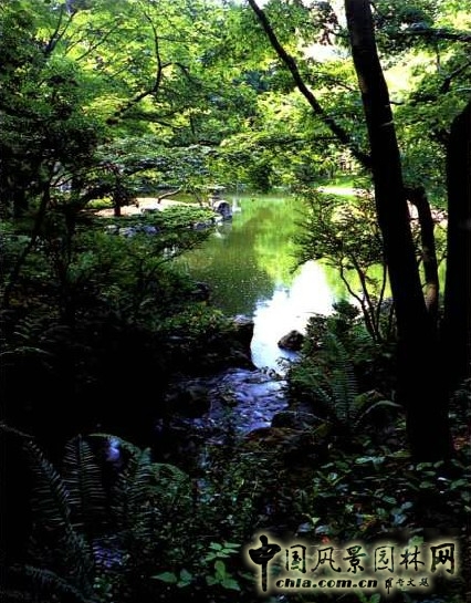 枡野俊明 哥倫比亞 新渡部花園