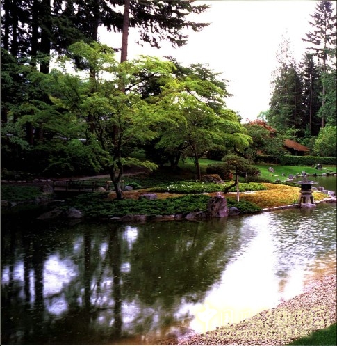 枡野俊明 哥倫比亞 新渡部花園