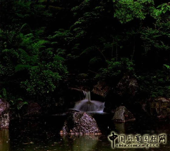 枡野俊明 哥倫比亞 新渡部花園