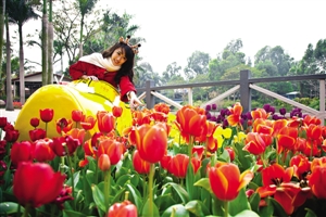 廣東 番禺 三八節(jié) 鮮花