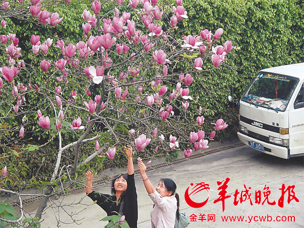 廣東 佛山 玉堂