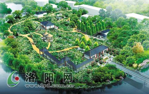 洛陽 牡丹 公園