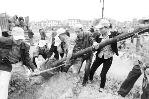 海南 綠化 道路