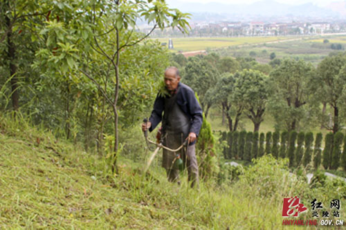 植樹 湖南 雷鋒