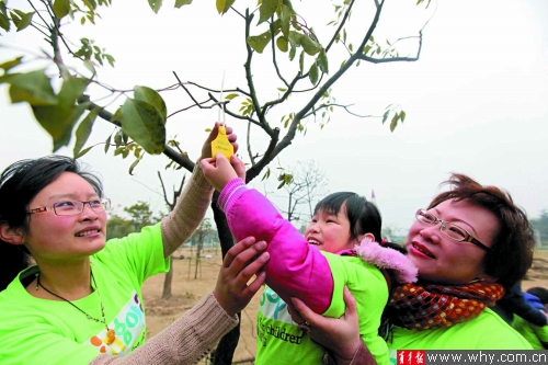 上海 樹木 認(rèn)養(yǎng)