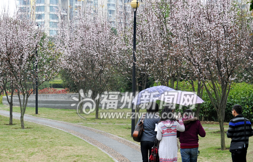 風景園林 福州 綠化 風景