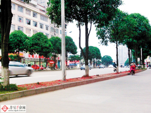 風景園林 綠化 南寧