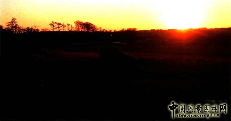 師枡野俊 高爾夫 石頭