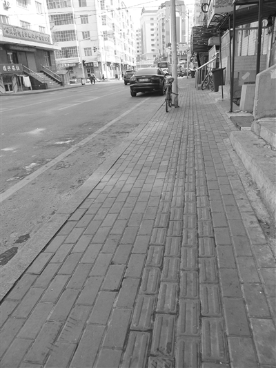 風(fēng)景園林 綠化 路改 規(guī)劃 人行道