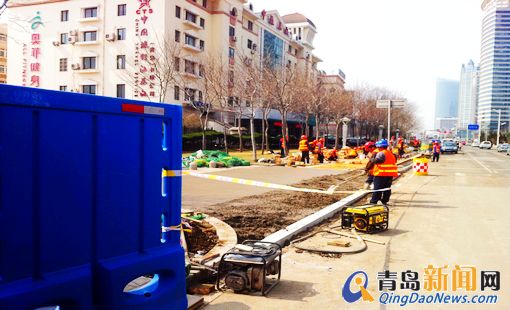風景園林 青島 東海路 種苗木 遮海