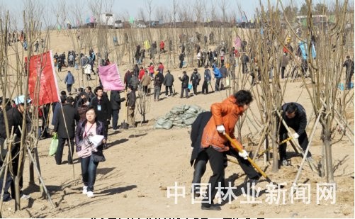 北京 綠化 植樹