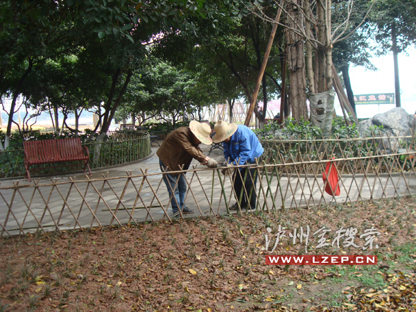 綠化帶 瀘州 破壞 中國風景園林網(wǎng) 