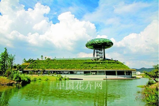 西溪濕地 保護工程 濕地文化