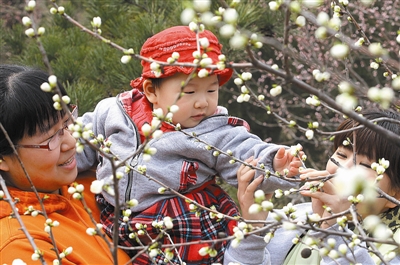 桃花 北京植物園 桃花節