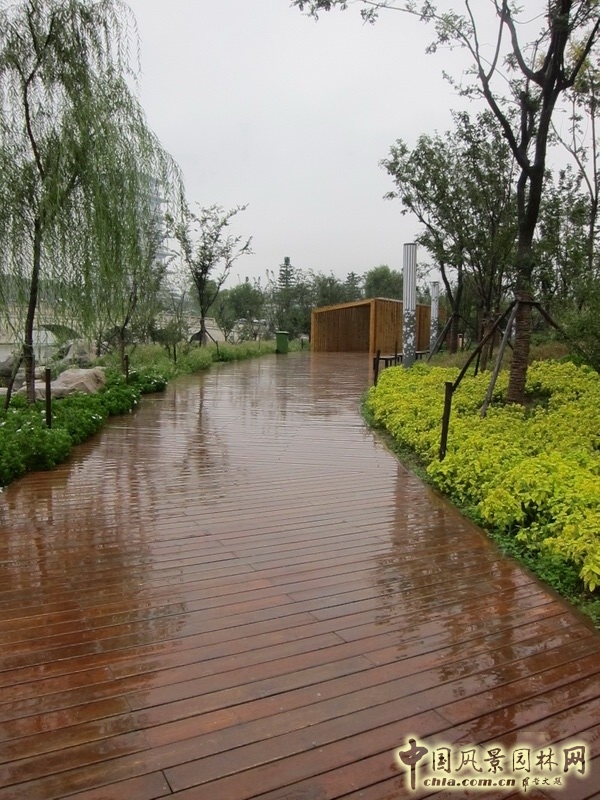 盛葉夏樹 世園會 景觀規劃 實景圖