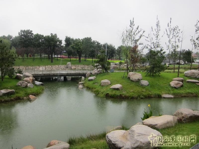 盛葉夏樹 世園會(huì) 景觀規(guī)劃 實(shí)景圖