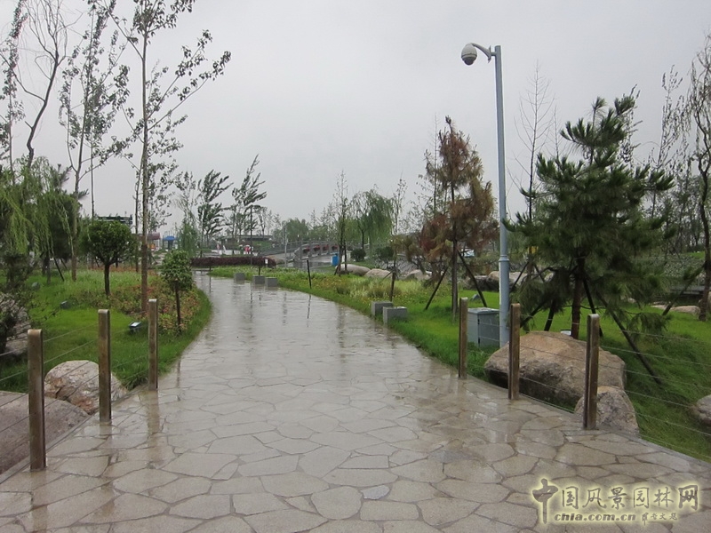 盛葉夏樹 世園會(huì) 景觀規(guī)劃 