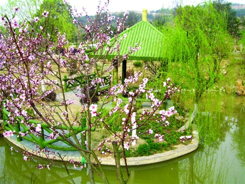 蘇州 桃花 索道