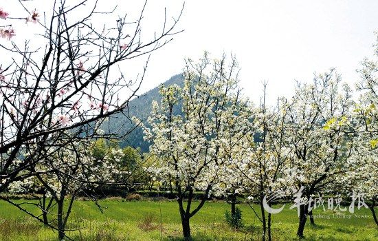 道格拉斯·道林 設(shè)計(jì) 道林集團(tuán) 城市規(guī)劃