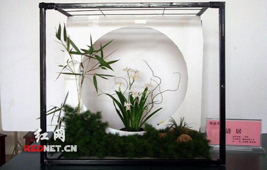 湖南 插花 大學生