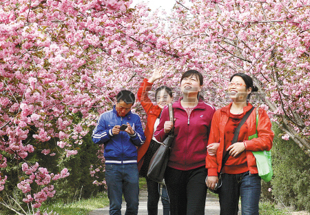 西安 蘭花 生態(tài)