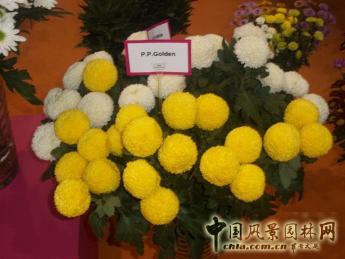 中國風(fēng)景園林網(wǎng) 展會信息 花卉展