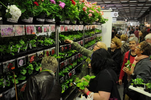 北歐 園藝 斯德哥爾摩