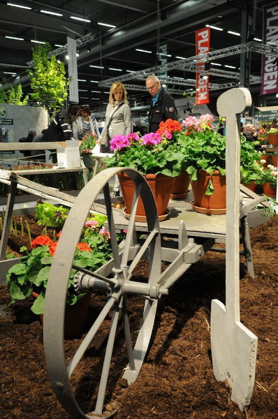 北歐 園藝 斯德哥爾摩