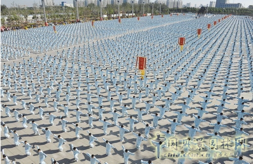 張新宇 景觀設計 滄州雜技園 北京園博會設計師廣場 中國風景園林網