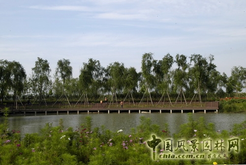 張新宇 大興新城濱河森林公園  規劃設計 設計師廣場 中國風景園林網