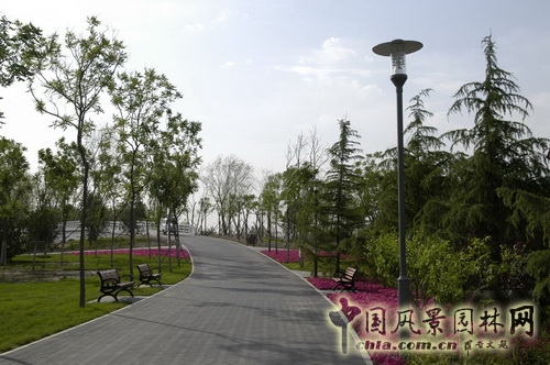 張新宇 大興新城濱河森林公園  規劃設計 設計師廣場 中國風景園林網