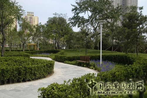 張新宇 公園綠地建設工程 規劃設計 設計師廣場 中國風景園林網