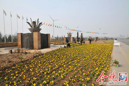 天津 花卉 生態(tài)