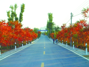 北京 公路 綠化 本土草 進(jìn)口草 中國風(fēng)景園林網(wǎng)