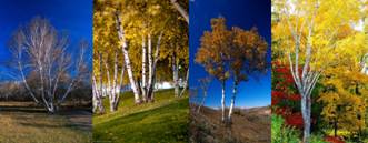 北京園博會設計師廣場 獲獎作品 流動的窗 顧志凌 景觀設計 中國風景園林網