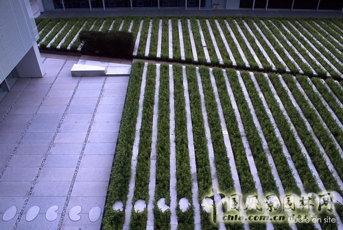 三谷徹 作品 朝日電視臺屋頂庭園 北京園博會 中國風景園林網