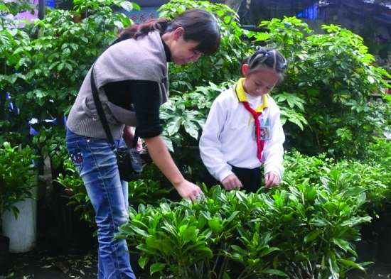 汕頭 花卉 養護