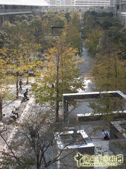 中國風景園林網 三谷徹 中央公園